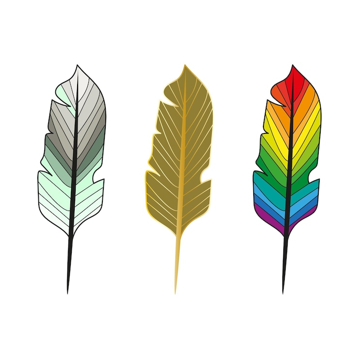 Vector line feather hand drawn feathers feathers isolated on white background feathers coloring book