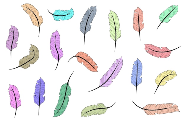 Linea piuma piume disegnate a mano piume isolate su sfondo bianco libro da colorare di piume