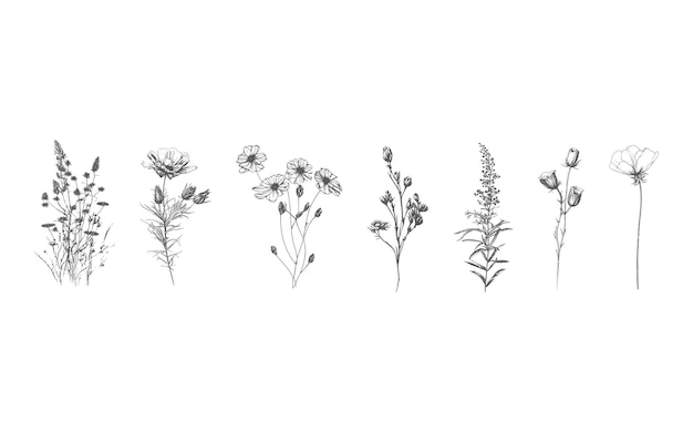 A line of flowers with the word'flowers'on the bottom left.