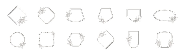 Line geometric frame with olive branch vector set in minimalistic style