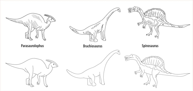 Vector line and hatch drawing 6 dinosaur drawings vector illustration. parasaurolophus, brachiosaurus, spin