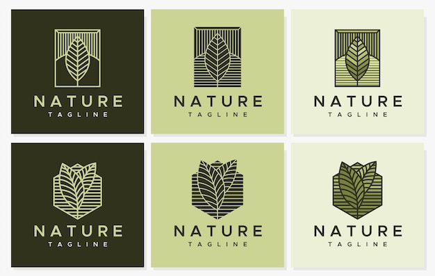 Line leaves logo design set. Plant line logo graphic vector.