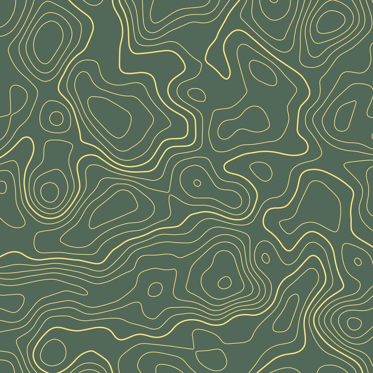 Vector line topographic map contour elevation background