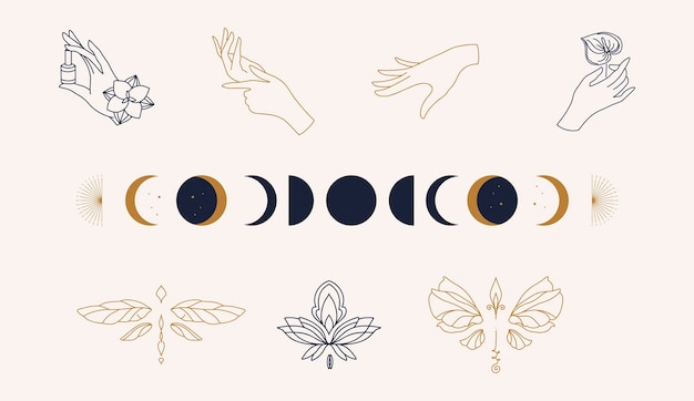 Lineaire sjabloonlogosymbolen met luxe dragonflymoon en handen op een naakte achtergrond