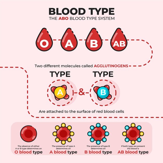 Vector linear blood infographic