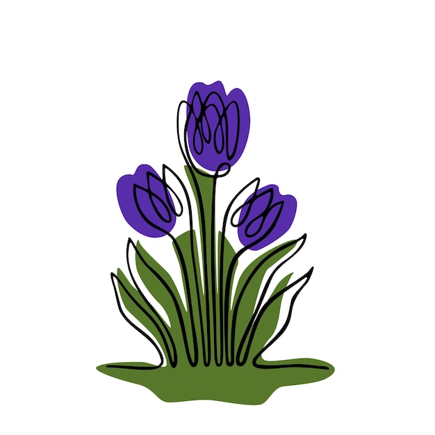 Linear crocuses with color spots of green violet yellowon on white background