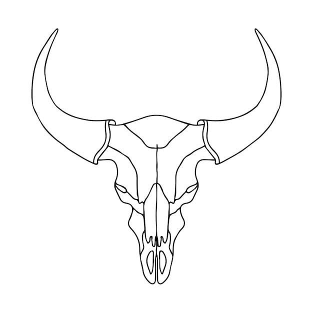 雄牛の頭蓋骨の線形描画。雄牛のベクター イラストです。頭蓋骨のタトゥーの意味のスケッチ