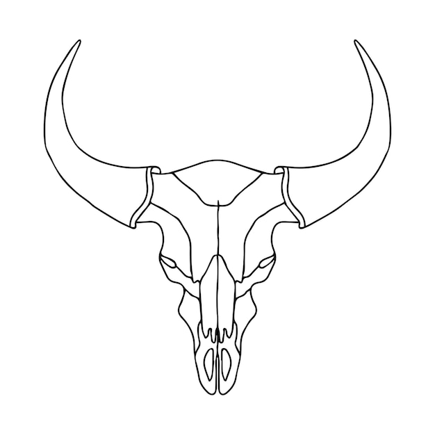 How to Draw a Cow Skull, Coloring Page, Trace Drawing