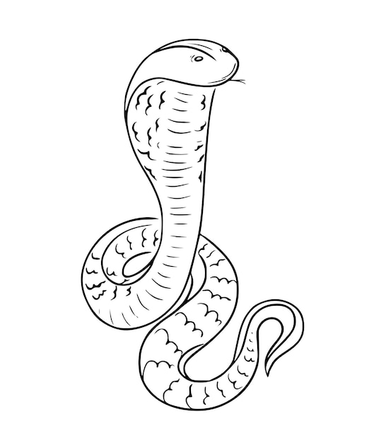 Vector linear handdrawn cobra icon with tongue sticking out vector venomous snake black and white illus