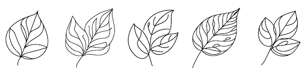 Линейные листья Набор иконок листьев Черные контуры листьев в плоском стиле, изолированные на белом