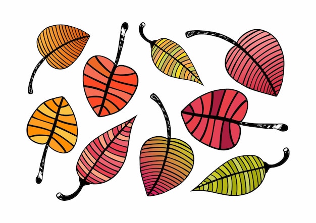 Linear pattern leaves with bright colors red orange green yellow red pink leaves set collection