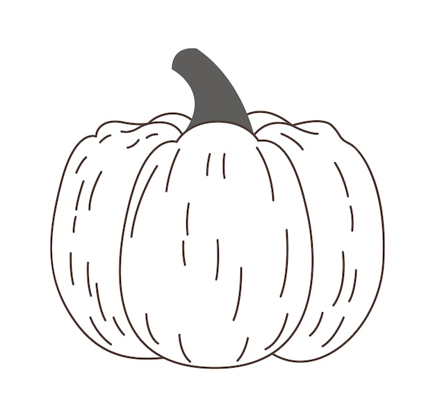 Linear Pumpkin Vegetable