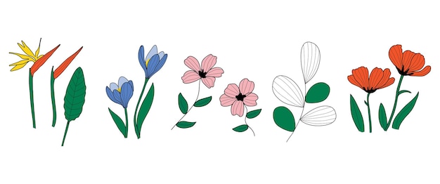 Vector linear set of flowers on white backdrop. flower vector