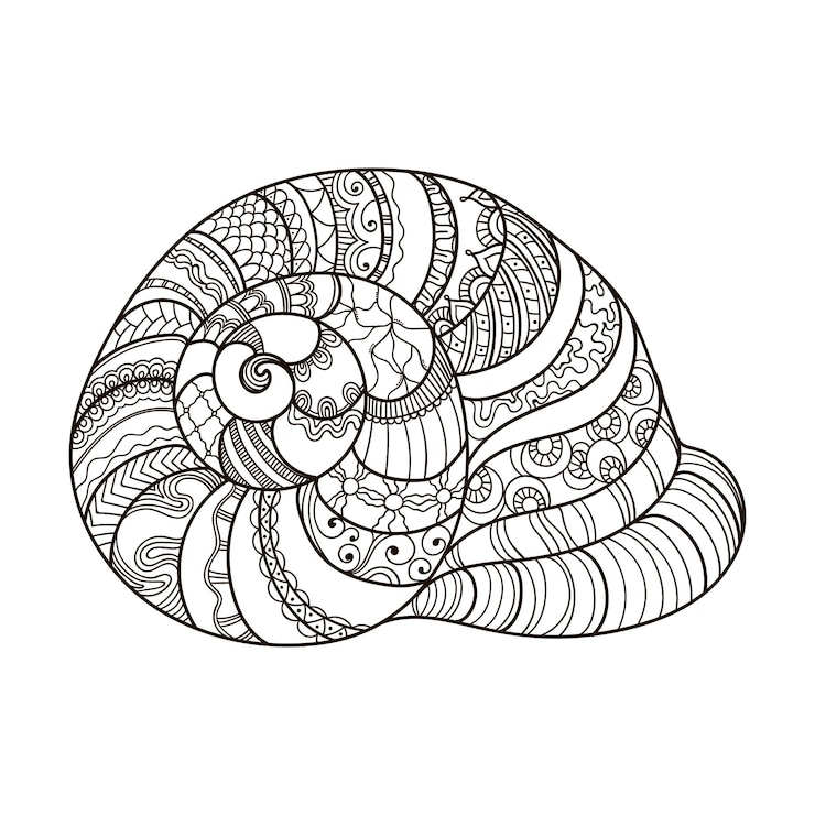 Vector linear shell with ornament