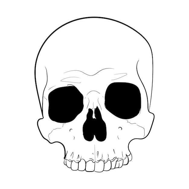 Linear skull icon black outline