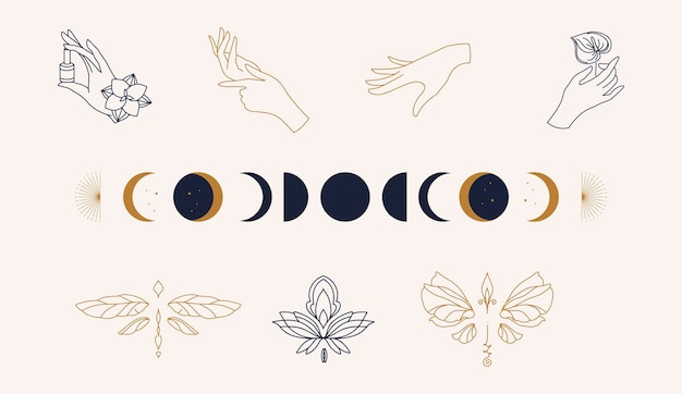 Linear template logo symbols with luxury dragonflymoon and hands on a nude background