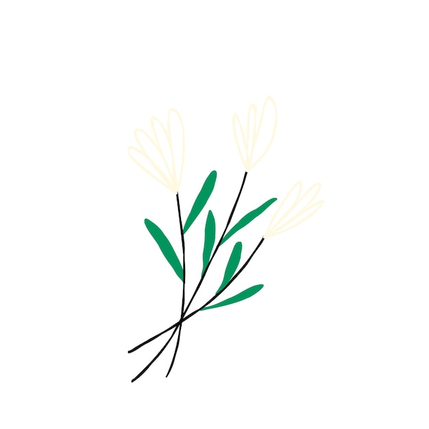 Linear white spring flower hand drawn illustration in modern doodle style