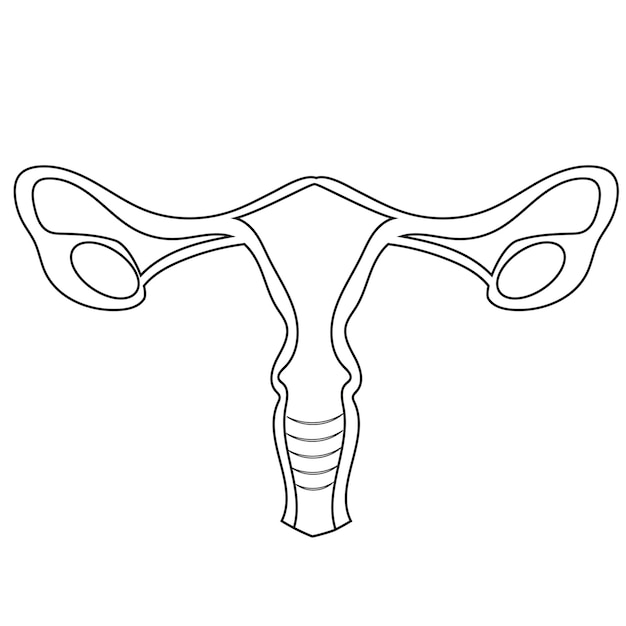 Vettore logo lineart di un organo femminile sano, vale a dire la cervice