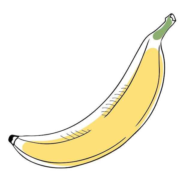 Lineart stijl vector enkele banaan zwarte omtrek op witte achtergrond geïsoleerd
