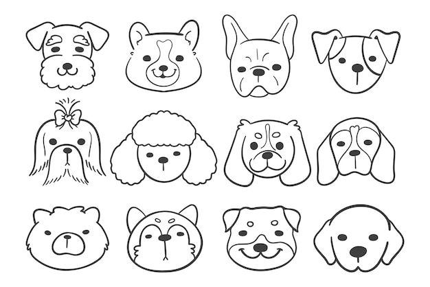 Vector lines of the faces of various breeds of dogs decorate coloring book for kids