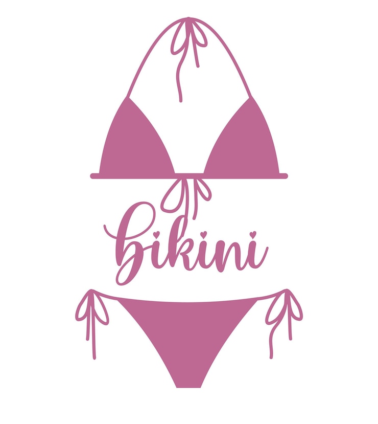 Vector lingerie female panty and womans bra bikini silhouette