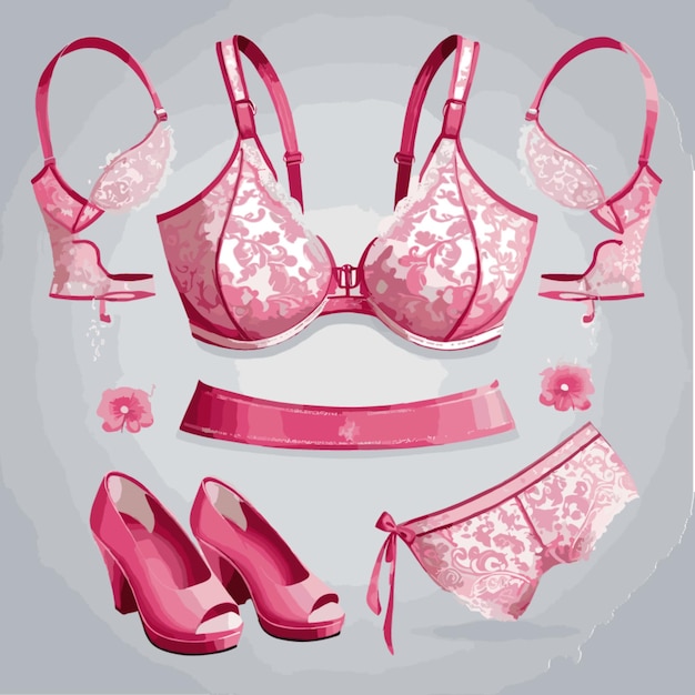 Vector lingerie vector on white background