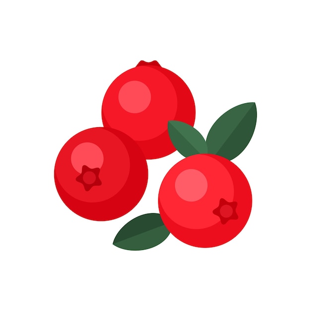 벡터 lingonberry 플랫 스타일 벡터 일러스트 레이 션 흰색 배경에 신선한 딸기