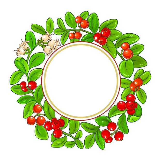 Lingonberry takken vector frame