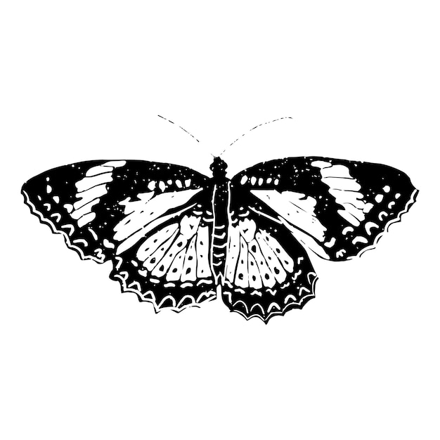 Vector lino cut butterfly silhouette hand made stamp for printing vector illustration isolated on white