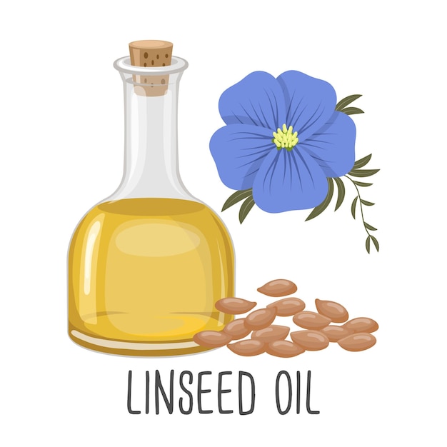 Вектор Льняное масло семена цветы и льняное растение льняное масло в бутылке еда иллюстрация вектора
