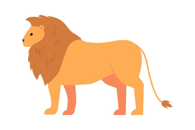 Lion African animal Vector illustration