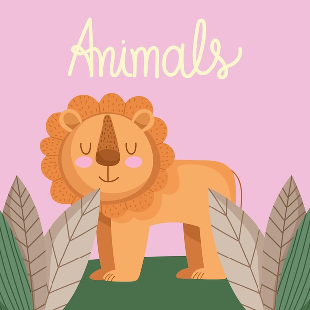 Lion animal card