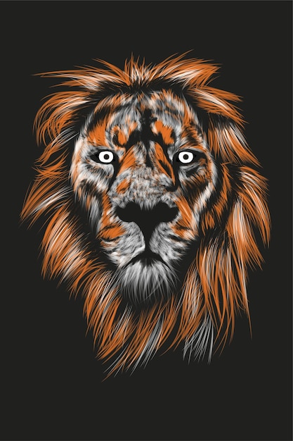 Vector lion drawing vectoeial illustration