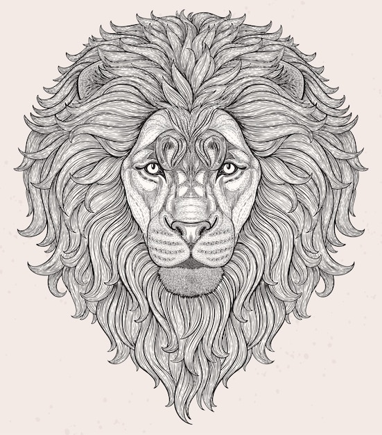 Vector lion head hand drawn in lines isolated on white background