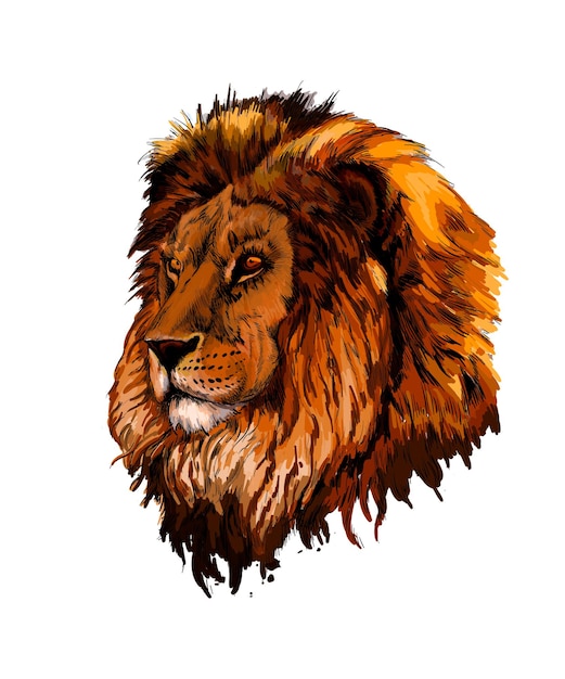 Lion head portrait from a splash of watercolor