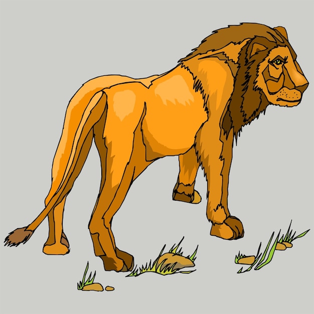 A lion is standing on the grass and the tail is yellow