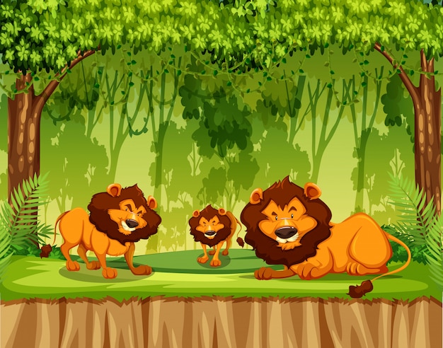 Vettore leone nella giungla