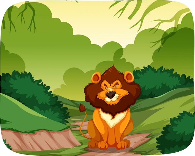 Lion in nature scene