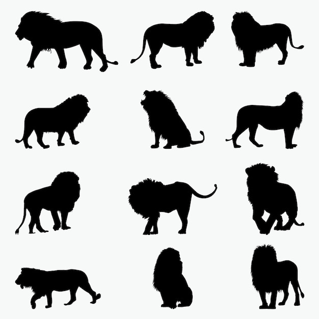 Lion silhouettes