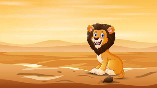 A lion sitting in the middle of desert field