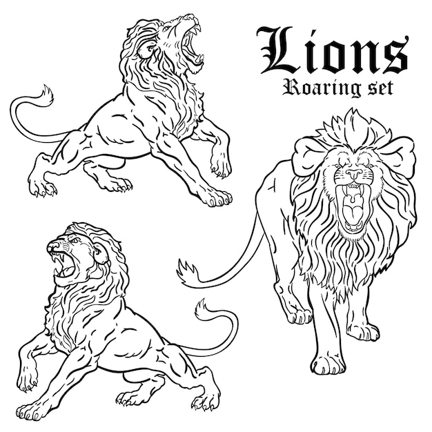 Vector lions roaring set
