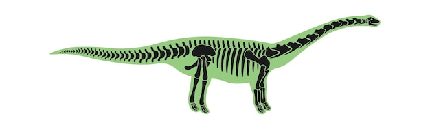 Lirainosaurus Dinosaur skeleton Prehistoric Animal Vector illustration