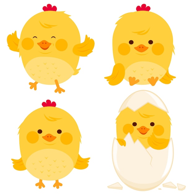 little cute chicken birds chicks hatching from egg yellow newborn baby birds vector illustration