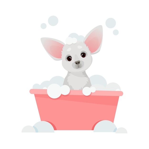 Little cute dog sits in a bowl and washes