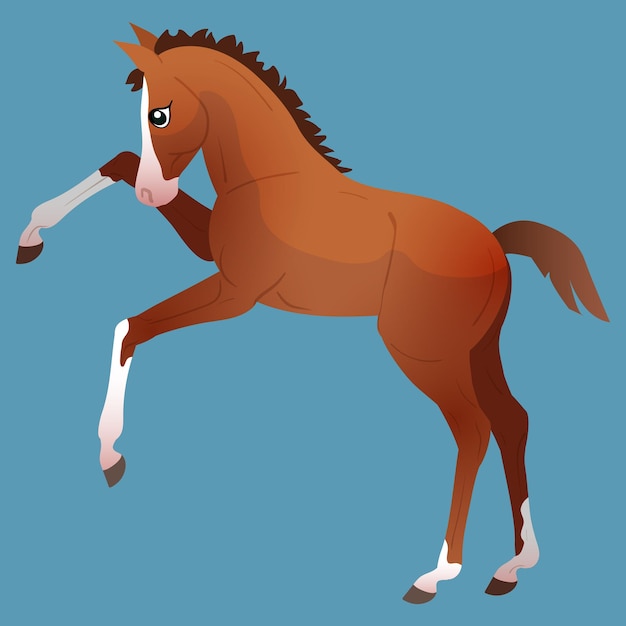 Vector little cute foal is jumping pinto cute character equestrian