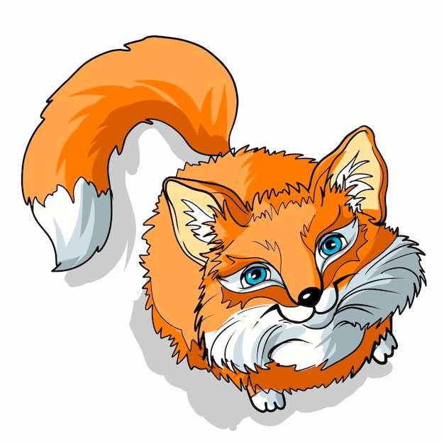 Little cute fox big blue eyes cartoon character classic handmate vector illustration isolated fox for animation