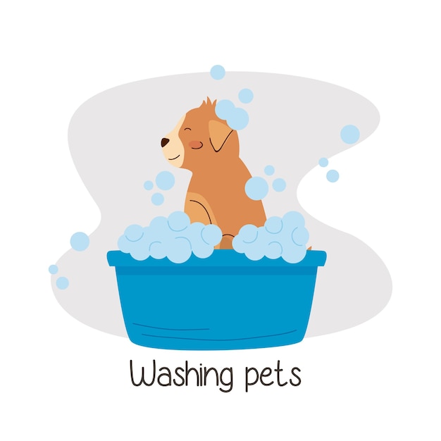 Little dog bathing in blue tub