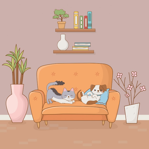 Mascotte del gatto e del piccolo cane nella stanza della casa