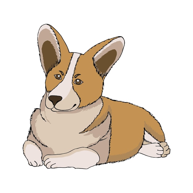 Little dog corgi lying on his stomach puppy folded paws and loyally looks hand drawn style