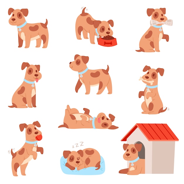 little doggie puppy set